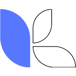 Creative Brand Identity